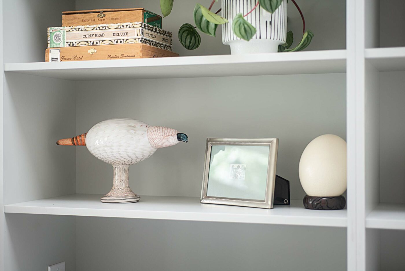 Leacrest Living Room After - Built Ins