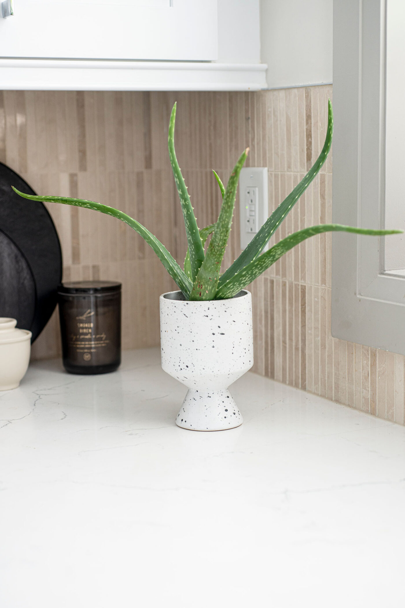 Laneway Kitchen - Plant