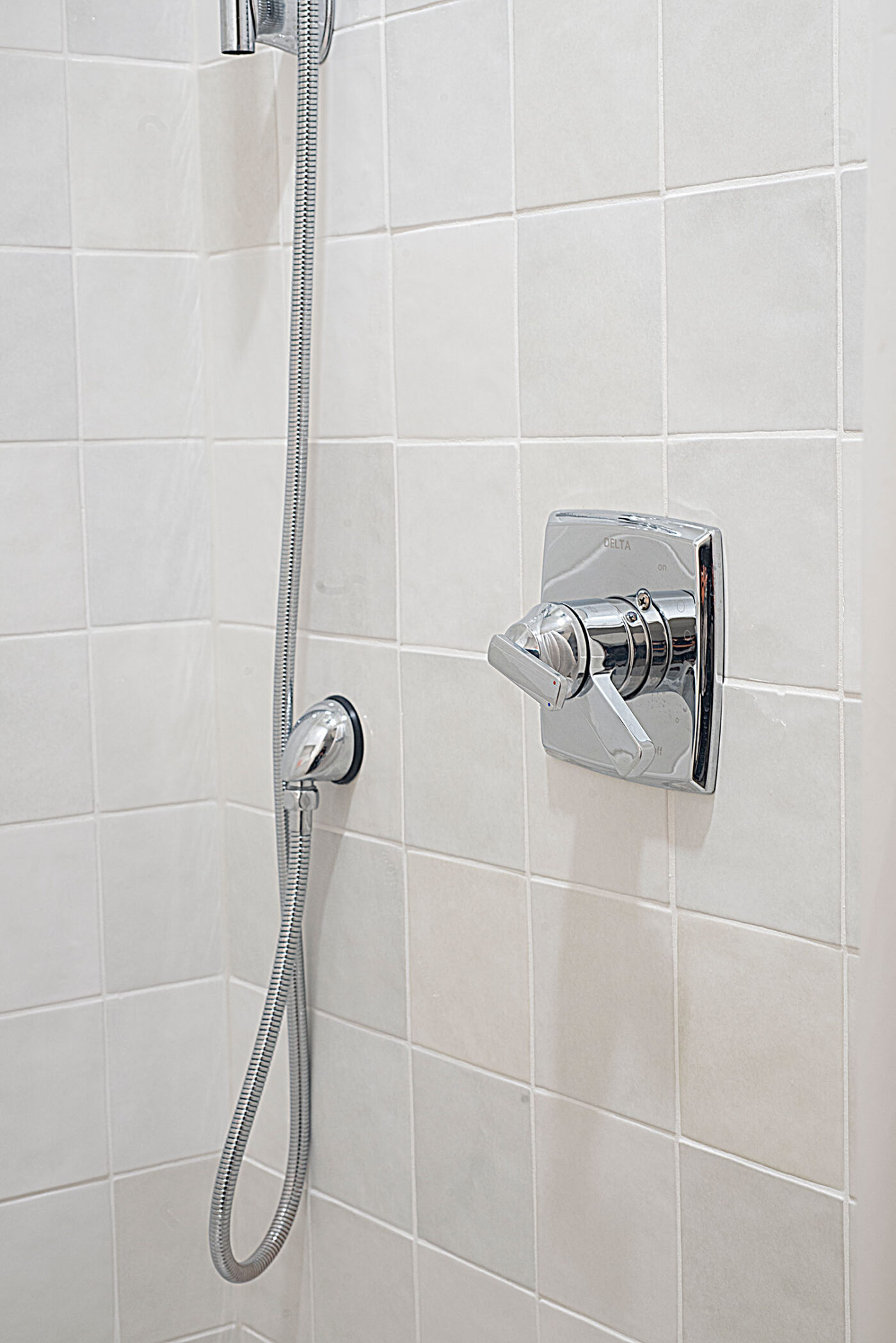 Laneway - Main Bathroom - Shower