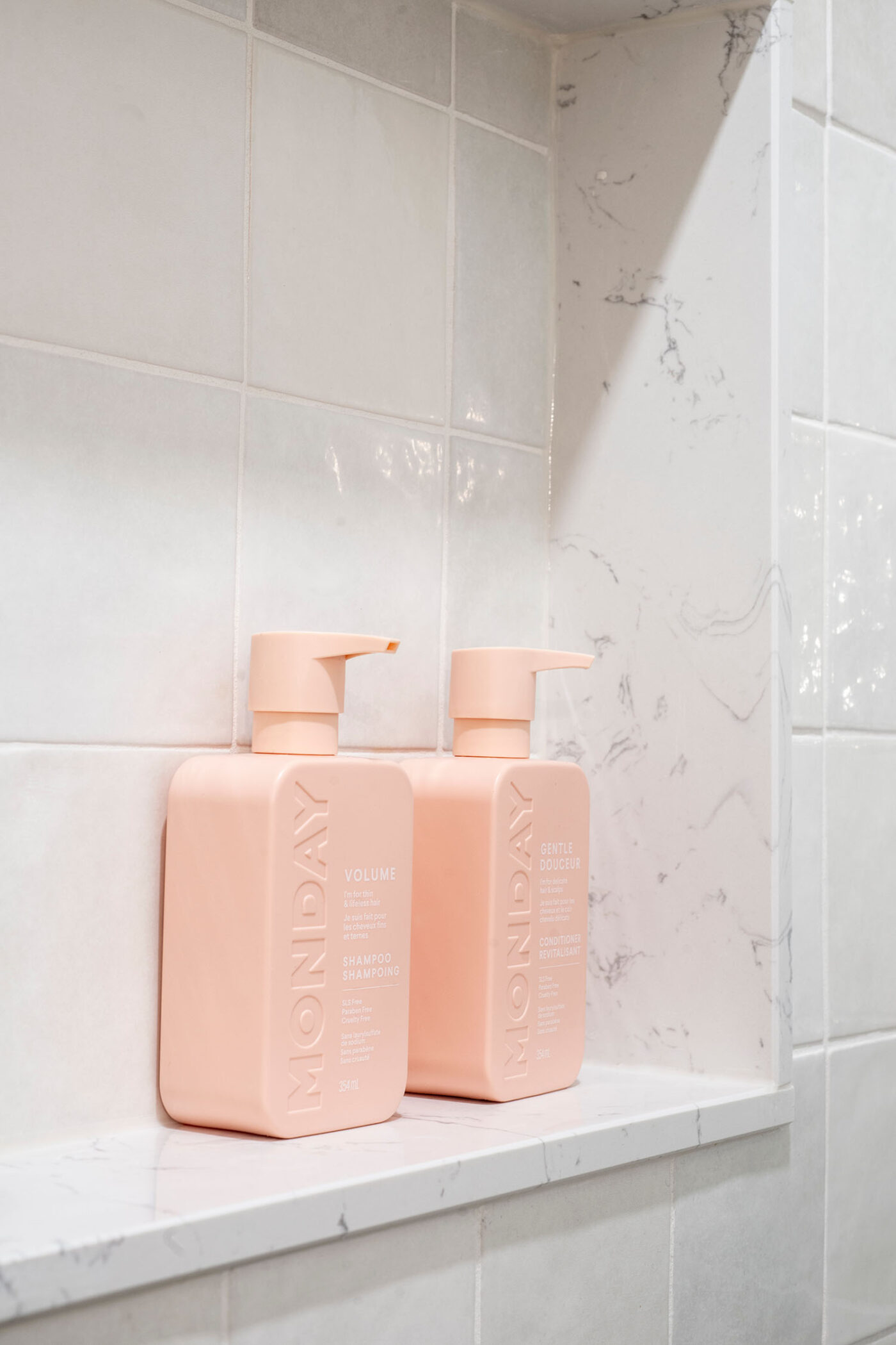 Laneway - Main Bathroom - Shower Shelf