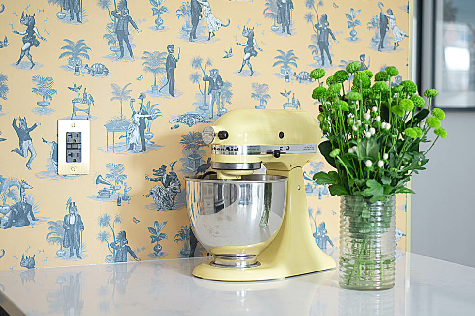 Aldridge Kitchen Counter Mixer