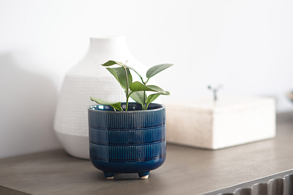 Patricia - Entry Decor