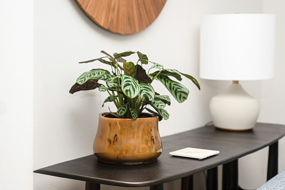 Silverbirch - Living Room Side Table